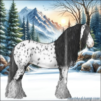 Horse Color:White Spotted Black Splash Frame Appaloosa 