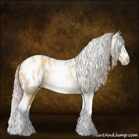 Horse Color:Gray Silver Amber Cream Champagne Roan Dun Splash Tobiano Frame Appaloosa Rabicano 