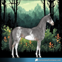 Horse Color:White Spotted Liver Chestnut Sabino Frame