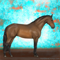 Horse Color:Buckskin 