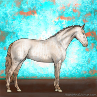 Horse Color:Gold Champagne Roan Pearl Rabicano  and Gray Gold Champagne Roan Pearl Rabicano 