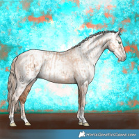 Horse Color:Gold Champagne Pearl Rabicano  and Gray Gold Champagne Pearl Rabicano 