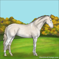 Horse Color:White Spotted Smoky Creme Tobiano 