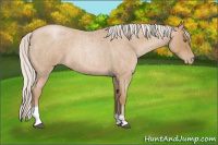 Horse Color:Silver Blue Roan Pearl Tobiano Frame 
