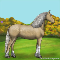 Horse Color:Silver Smoky Black Tobiano 