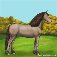 Horse Color:Classic Champagne 