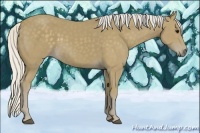 Horse Color:Silver Smoky Black 