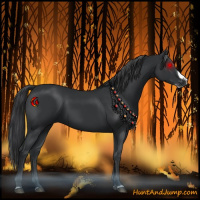 Horse Color:Black Splash Frame 