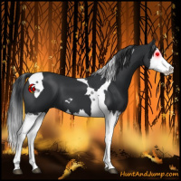 Horse Color:Black Splash Tobiano 