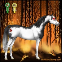 Horse Color:Black Splash Frame 