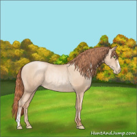 Horse Color:Classic Champagne Pearl Rabicano  and Classic Champagne Pearl Rabicano 
