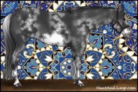 Horse Color:White Spotted Black Sabino Frame