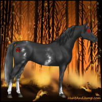 Horse Color:White Spotted Black