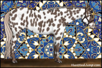 Horse Color:Silver Black Appaloosa