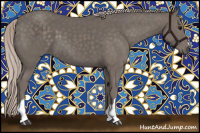 Horse Color:Silver Black 