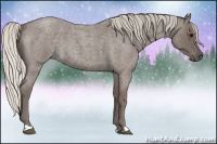 Horse Color:Silver Blue Roan 