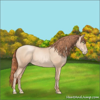 Horse Color:Classic Champagne Pearl Rabicano  and Classic Champagne Pearl Rabicano 