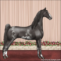 Horse Color:White Spotted Smoky Black Sabino Frame