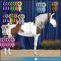 Horse Color:Bay Splash Tobiano Rabicano 
