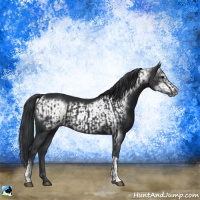 Horse Color:Black  and Black Frame 