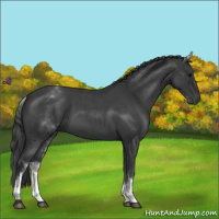 Horse Color:White Spotted Blue Roan Varnish 