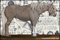 Horse Color:Silver Black