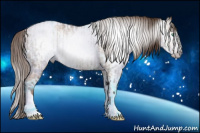 Horse Color:Gray Smoky Black Pearl Tobiano  and Gray Thunderstruck Smoky Black Pearl Tobiano 