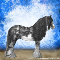Horse Color:White Spotted Black Sabino Frame 