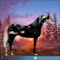 Horse Color:ERROR: UNKNOWN ANOMALY
