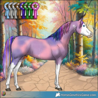 Horse Color:Painted Watercolor Grullo Sabino Splash 