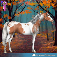 Horse Color:White Spotted Silver Bay Splash Tobiano 