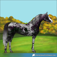 Horse Color:ERROR: UNKNOWN ANOMALY