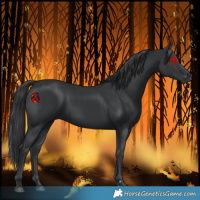Horse Color:Black 