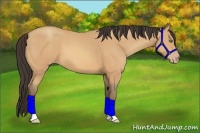 Horse Color:Amber Champagne 