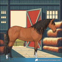 Horse Color:Bay Tobiano 