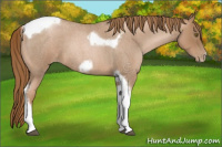 Horse Color:Liver Red Roan Pearl Tobiano Frame 