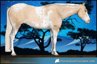 Horse Color:Chocolate Palomino Pearl Tobiano Frame  and Palomino Pearl Tobiano Frame 