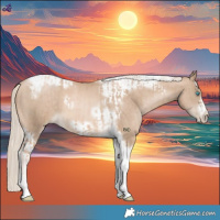 Horse Color:Chocolate Palomino Pearl Tobiano Frame  and Chocolate Palomino Pearl Tobiano Frame 