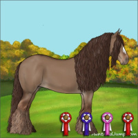 Horse Color:Liver Red Dun 