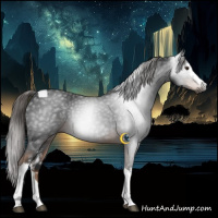 Horse Color:Gray White Spotted Liver Chestnut Tobiano 