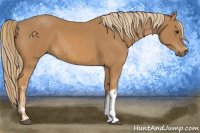 Horse Color:Chestnut  and Chestnut 