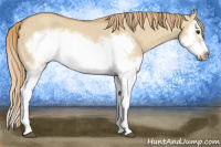 Horse Color:Red Dun Roan Splash Frame Rabicano 