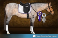 Horse Color:Buckskin Roan 