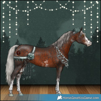 Horse Color:White Spotted Silver Brown Rabicano