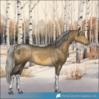 Horse Color:White Spotted Silver Buckskin Dun Tobiano 