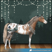 Horse Color:Chocolate Palomino Sabino Tobiano Blanket Rabicano