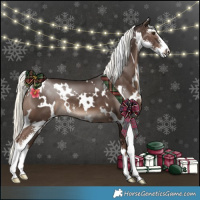 Horse Color:White Spotted Liver Chestnut Mushroom Sabino