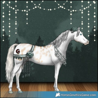 Horse Color:Chocolate Palomino Pearl Dun Sabino Tobiano Appaloosa Rabicano 