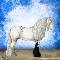 Horse Color:White Spotted Gold Cream Champagne Ice Pearl 
