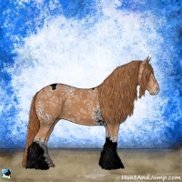 Horse Color:White Spotted Chestnut Ice Tobiano Rabicano